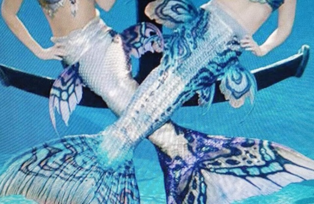 Country cottage close to all Weeki Wachi activities