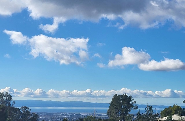 Country Cottage in the w Gorgeous San Francisco Bay Area Views on 2acres!