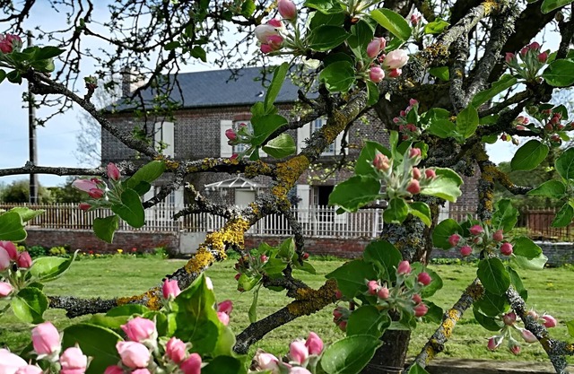 Country house, tranquility assured