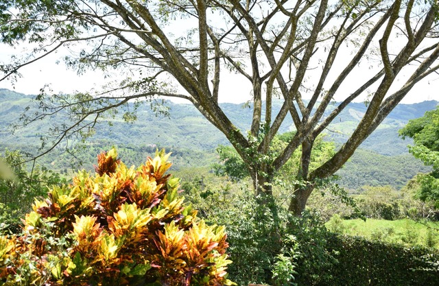 Country House Villa del Lago