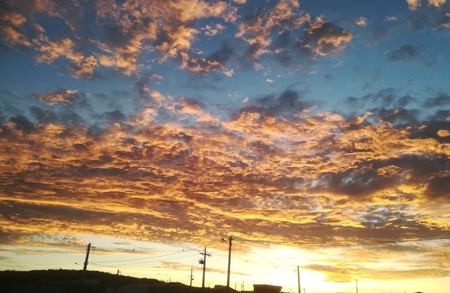 Country Life Cottage