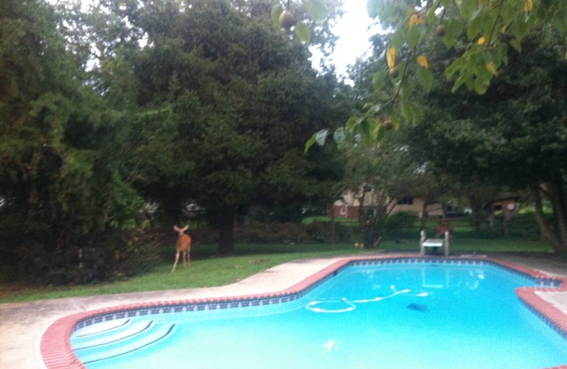 Country Living, with City Convenience