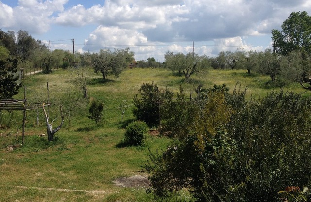 Country villa in Formello