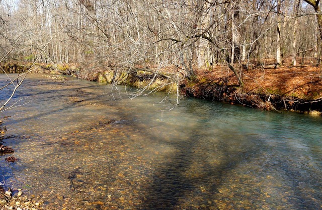 Couples/Family Secluded Getaway Near Hot Springs-Jacuzzi Overlooking Mountains!