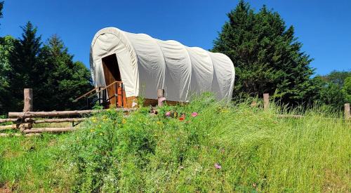 Covered Wagons Hill Camp - WAGON 2