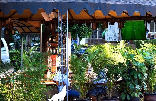 Coyote Haven Bridge Hotel