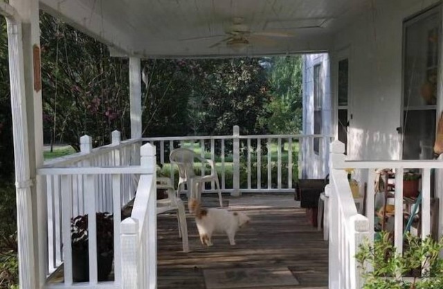 Cozy 1890s Farm Cottage, fully modernized.