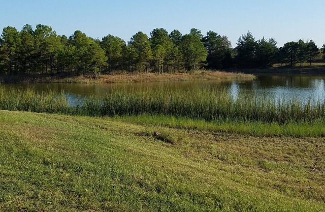 Cozy 2 rm pet friendly cabin- private lake - fishing & swimming - IndianCabin