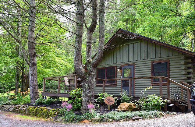 Cozy 2BR Lake Cabin – Dock, Hot Tub, Views -Lake Nantahala