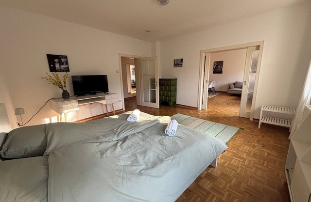 Cozy 85 sqm apartment in Trier city center