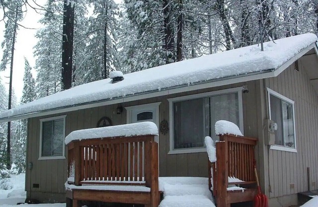 Cozy and Peaceful Cabin in the Pines