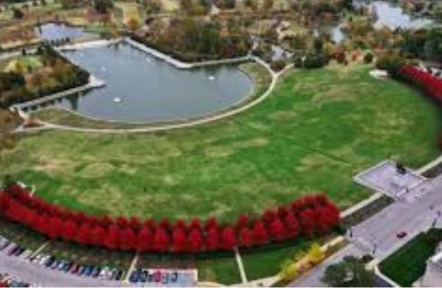 Cozy and Spacious Loft-style Apartment
