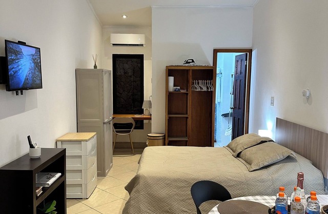 Cozy and very clean efficiency apartment in wonderful Boquete with AC & WiFi
