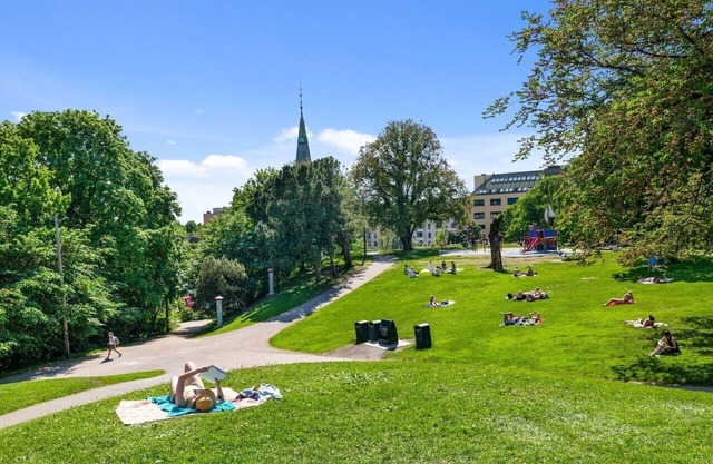 Cozy apartment, central Oslo with private terrace