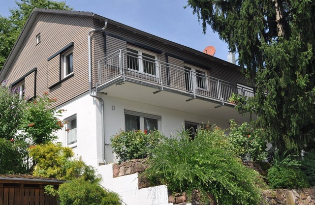 Cozy apartment with a private terrace near the forest near Heidelberg