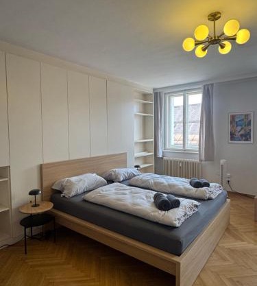 cozy big old town apartment