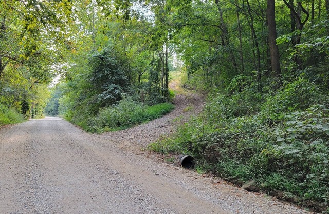 Cozy cabin 16 miles from Razorback Stadium great for game weekends.