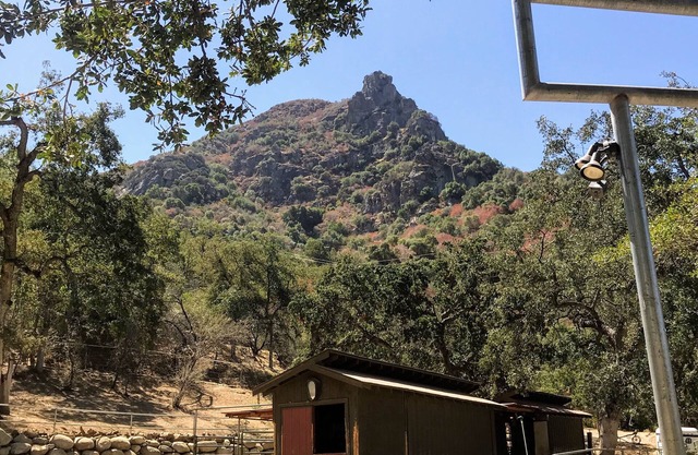 Cozy cabin in amazing Three Rivers with WiFi, AC Sequoia NP entrance n4miles