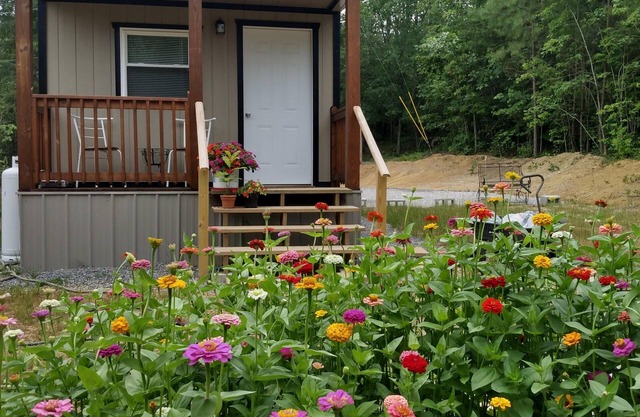 Cozy cabin in the mountains with hiking trails and gorgeous waterfalls close by!