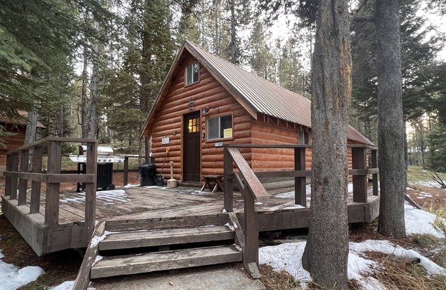 Cozy cabin in the woods