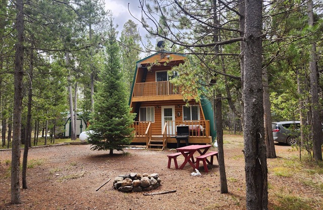 Cozy Cabin Minutes From Yellowstone w/fiber optic wifi