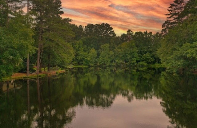 Cozy Cabin nestled by picturesque 3.4ac Lake. Close to Stableview and downtown.