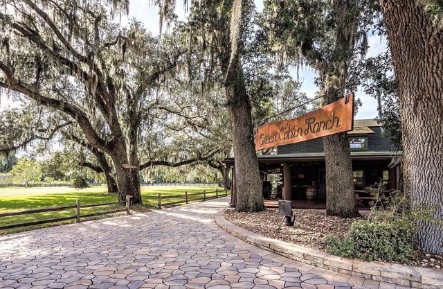 Cozy Cabin on 7 acress of natural beauty.