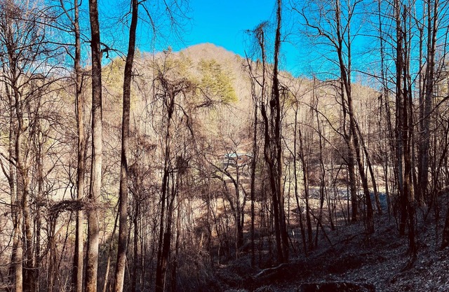 Cozy Cabin With Incredible Views - Hikers/Bikers/Anglers/Hunters Welcome