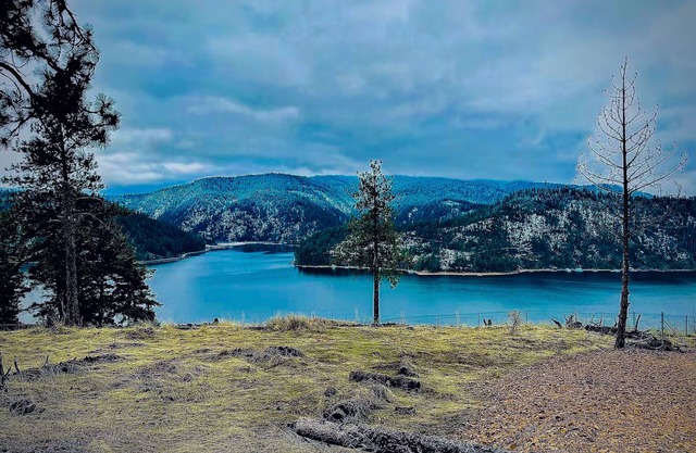 Cozy cabin with lake views, fire pit, deck, and high speed WiFi