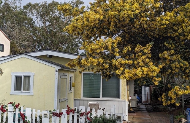 Cozy Cottage in Quiet Community.