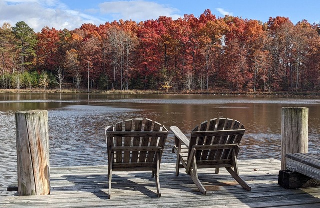 Cozy cottage on our private lake and 75 wooded acres