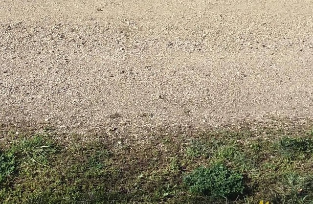 Cozy Country Cabin located 28 miles north of Pierre South Dakota. Country