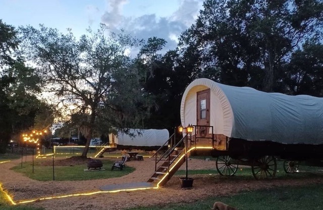 Cozy Covered Family Wagon on Rooterville’s Working Farm and Animal Sanctuary