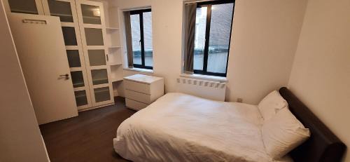 Cozy en-suite in central London in shared flat