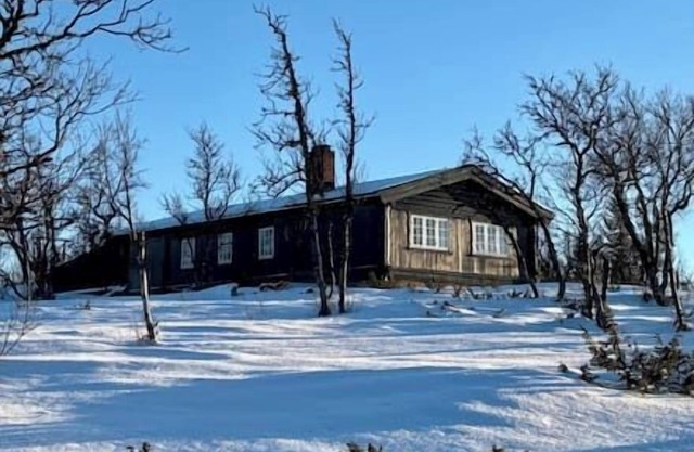 Cozy Family Cabin Between Geilo and Dagali, 1050 msl.