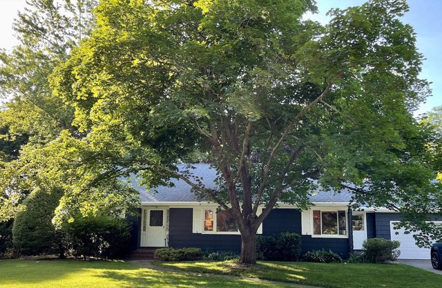 Cozy Family Friendly Summer Getaway