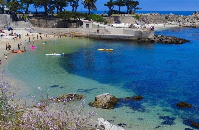 Cozy get-away in Pacific Grove (Pet Friendly!)