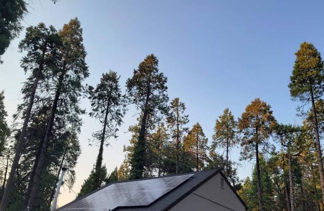 Cozy Getaway in the Woods (Dog-friendly!)