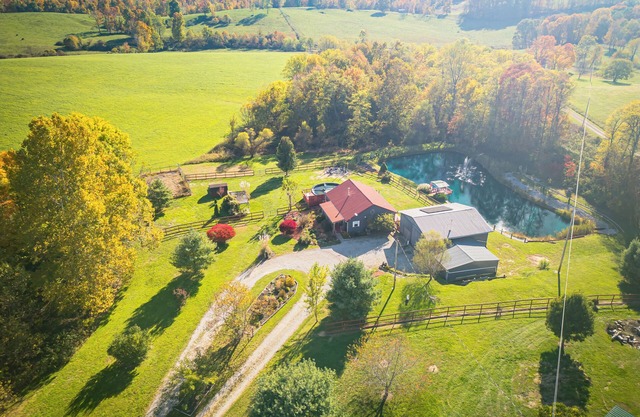 Cozy Getaway: Location, Dogs Stay Free, Fenced Yard, Fishing Pond