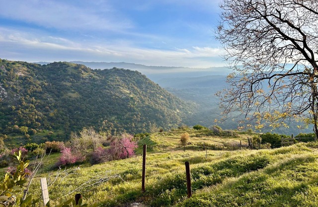 Cozy hilltop retreat with stunning 360 degree mountain views!