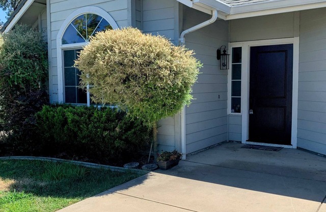 Cozy house with stunning views