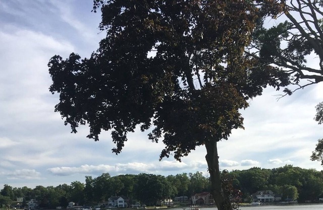 Cozy Lake Front House on Sylvan Lake