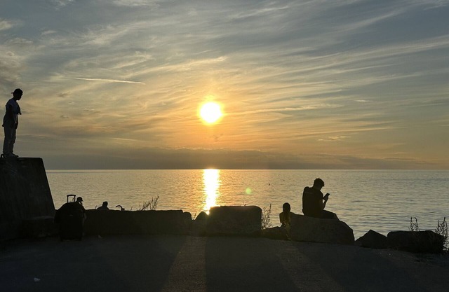 Cozy little cottage in the middle of Gotland near Visby | SE12024