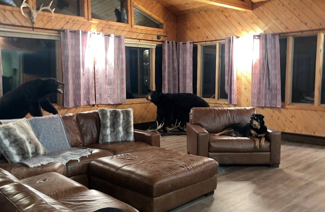Cozy Lodge