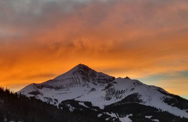 Cozy Loveshack Condo - Nestled in the Heart of Meadow Village - New Town Center