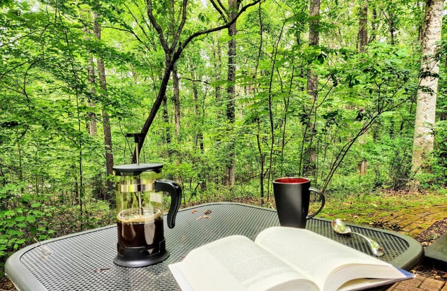 Cozy Milton Guest Suite with Private, Wooded Patio & Kitchenette