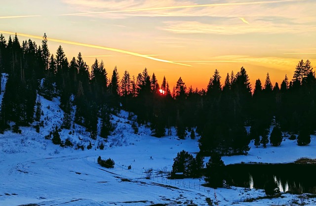 Cozy Pinecrest-Dodge Ridge Area Summer/Winter Fun Resort with King-Size Bed!