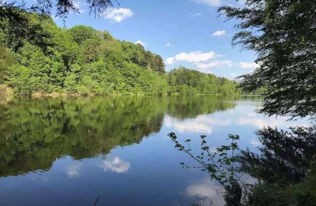 Cozy & relaxing cottage on the lake *Dog Friendly*