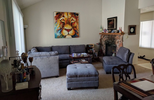 Cozy Reno Condo Monthly Rental