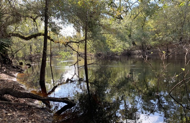 Cozy river front retreat on beautiful Withlacoochee River. Near theme parks.